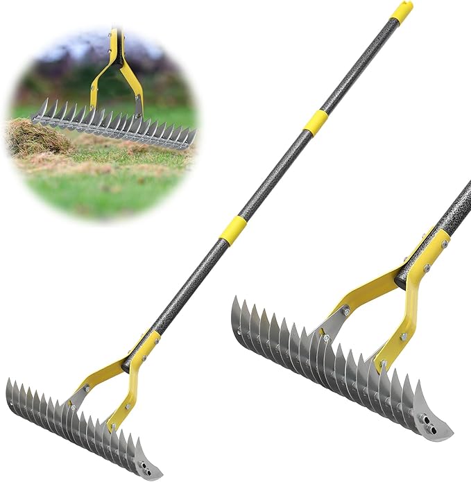 Thatch Rake, 2-in-1 Lawns Manual Dethatcher with Adjustable Head, 70" Heavy Duty Metal Dethatching Rake Garden Tools, 19-Tooth Sharp Blade for Yard Dead Grass, Moss Removal, Soil Loosening