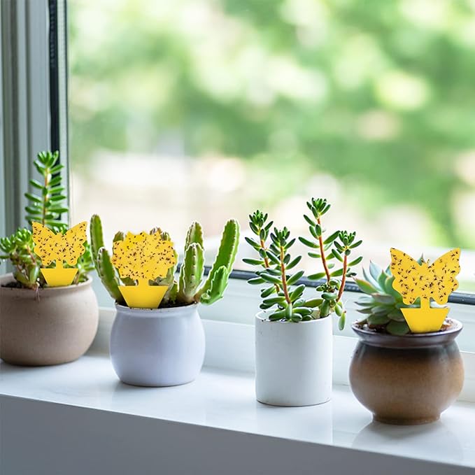 40 Pack Fungus Gnat Traps for House Indoor, Fungus Traps Fruit Fly Traps for Indoors Gnats Sticky Traps for Plants Yellow Sticky Traps for Gnats