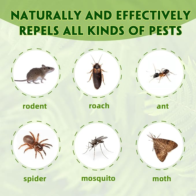 Peppermint Mice Repellent - Natural Mouse Deterrent for Home, Car, Garage Garden - Long-Lasting, Safe for Kids & Pets, Eco-Friendly Formula.(24 Pack)