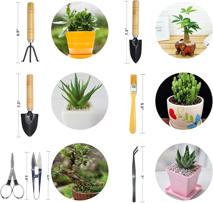 Bonsai Set 8 PCS-Mini Gardening Tools Kit for Indoor Outdoor Bonzai Include Pruner, Fold Scissors, Mini Rake, Tweezers, Cleaning Brush