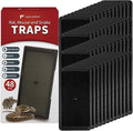 LULUCATCH Mouse Traps 48 Pack, Large Bulk Glue Rat Traps for Home, Pre-Scented Adhesive Plastic Tray for Snake, Mice, & Spider Catcher, Pet Safe Pest Control