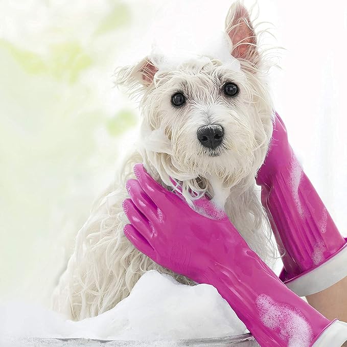PLAYTEX Living Reuseable Rubber Cleaning Gloves, Premium Protection (Large, Pairs - 2) Color may vary