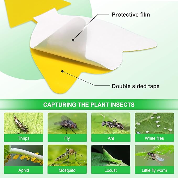 40 Pcs 5 Shapes Yellow Extremely Sticky Traps for Fungus Gnat, Fruit Fly, Fly, Whitefly, Flying Insect Catcher Traps for Houseplants, Kitchen, Indoor/Outdoor, Non-Toxic, Odorless, Pet and Kid Safe