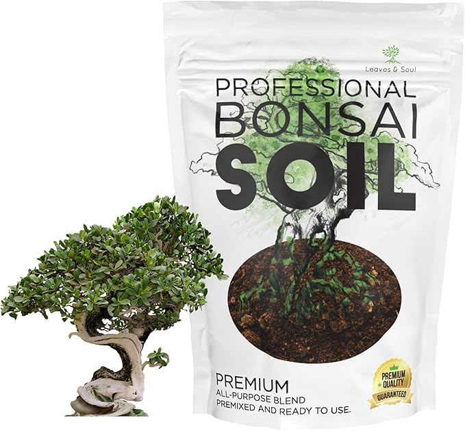 Complete Bonsai Set - Small Green Oval Bonsai Pot with Soil, Fertilizer Pellets, 160ft of Bonsai Hobby Wire, Cutter and Storage Bag - DIY Gardening Starter Set - Plant Repotting Supplies
