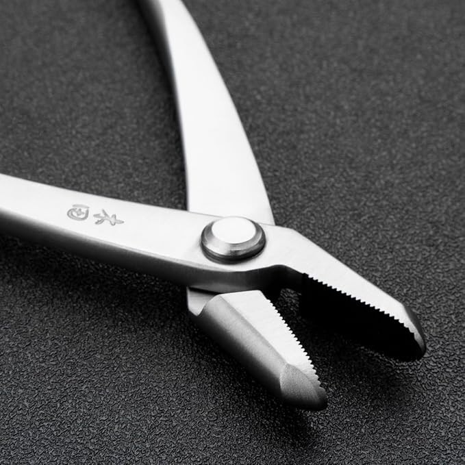 Professional Series Bonsai Tools 205 Mm Jin Pliers From TianBonsai