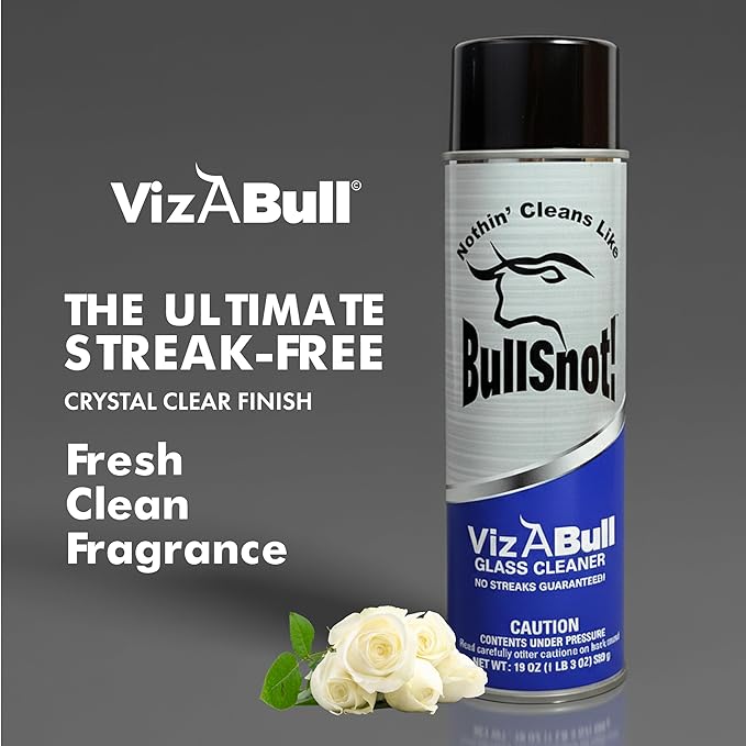 VizABull Glass Cleaner Foam Spray, Streak-Free for Car Windshield, Mirror, Window Cleaning - Heavy Duty for Auto Exterior - Ammonia-Free, No Drip, Quick Dry - 19 Fl Oz, 1 Can