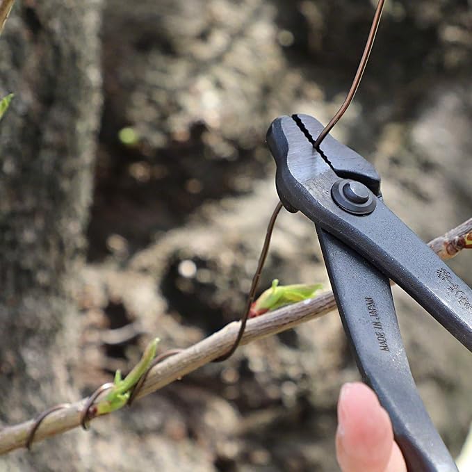Wazakura Hand Forged Bonsai Wire and Jin Pliers Made in Japan 210mm(8.25inch), Bonsai Training Wire Plier, Japanese Garden Tool- Black