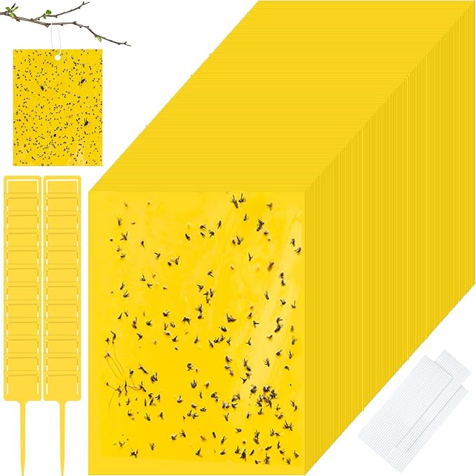 Qualirey 200 Pcs 6 x 8 Inch Sticky Traps for Gnats Dual Sided Fruit Fly Sticky Traps for Indoor and Outdoor Plant with Twist Ties and Plastic Holders for Flying Plant Insect, Fungus Gnats (Yellow)