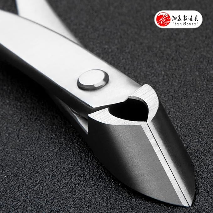 Straight Narrow Edge Cutter Professional Grade Branch Cutter Alloy Steel Bonsai Tools Equip With Tool Bag (MT-SE-185N Designed For Small Size Bonsai Trees)
