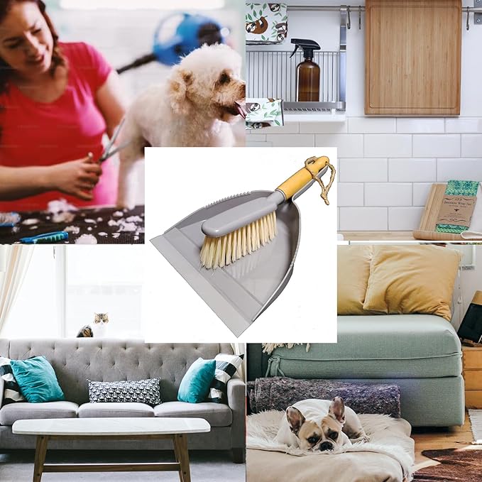 Dustpan and Brush Set -Small Broom Dustpan Set, Hand Broom and Dust Pan for Pet, Car, Dorm, Comping (Gray)