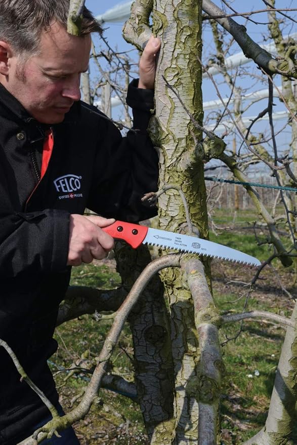 FELCO 621 Pruning Saw – Straight Pull-Stroke Saw for Tree Trimming & Forestry | Tree Branch Cutter | Handsaw with Tapered Hardened Steel 9.5" Blade, Non-Slip Handle, Carrying Sheath, Swiss Precision