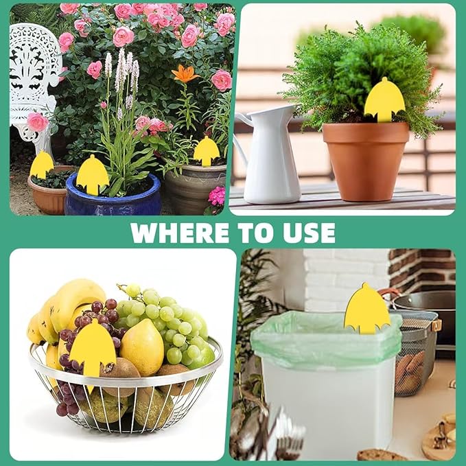 Innovative Ver. 2.0 Yellow Fungus Gnat Traps, Easier to Use, No Touching Glue Or Bugs, 36 Traps,Targets Species for Gnat, Fruit Fly & Pests, Thoughtfully Designed, High Capture Rate, Kid & Pet Safe