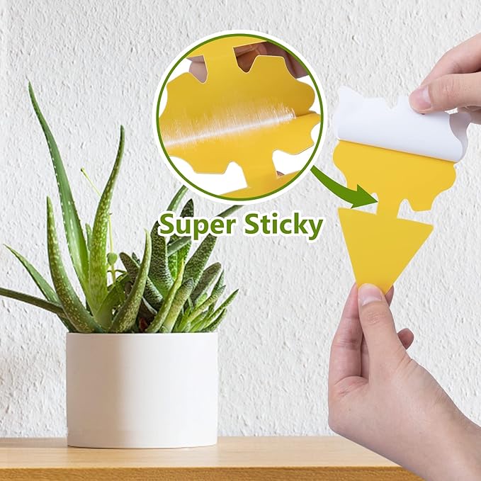 120 Pack Fungus Gnat Traps for House Indoor, Fungus Traps Fruit Fly Traps for Indoors Gnats Sticky Traps for Plants Yellow Sticky Traps for Gnats