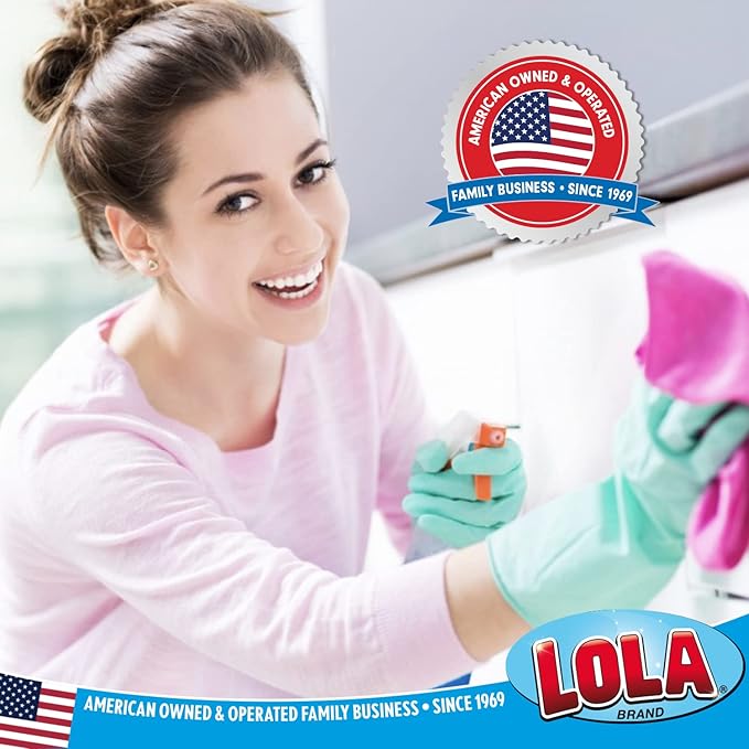 LOLA Round N' Round Wonder Non-Scratch Scouring Pad, 1 Count, Metallic on One Side, Nylon Net Sponge On Other Side, Hang Hole, Assorted Colors