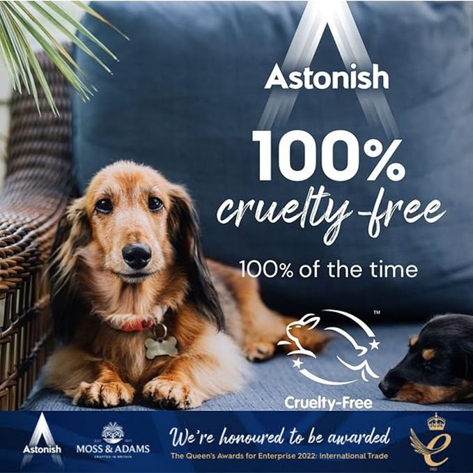 Astonish Specialist Oven & Grill Cleaner & Sponge, 250g – Heavy Duty Degreaser Paste with Orange Oil – Restores Shine to Ovens, Grills & Racks – No Harsh Chemicals, 3 Pack