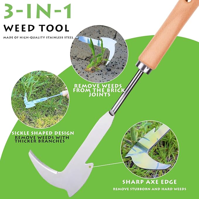 Crack Weeder, 12" Stainless Steel Crevice Weeding Tool with Wood Handle, Axe-Shaped Side-Walk Weed Puller Spatula, for Garden Lawn Yard Patio Terrace Paving Moss, Small Gardening Tool