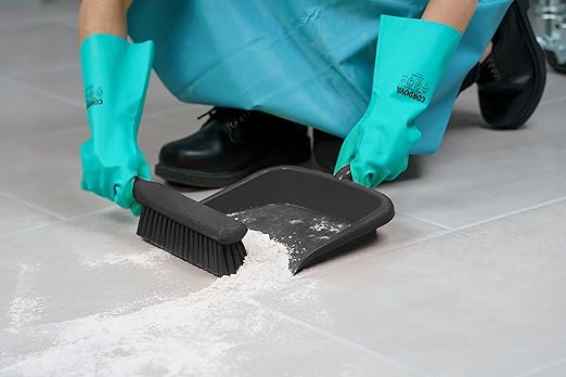 SPARTA Large Handheld Dustpan with Hanging Hole, Heavy-Duty Plastic Dustpan with Wide Lip for Countertops and Surfaces, Plastic, 10 Inches, Black