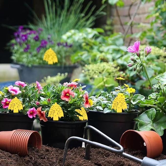 Innovative Ver. 2.0 Yellow Fungus Gnat Traps, Easier to Use, No Touching Glue Or Bugs, 36 Traps,Targets Species for Gnat, Fruit Fly & Pests, Thoughtfully Designed, High Capture Rate, Kid & Pet Safe
