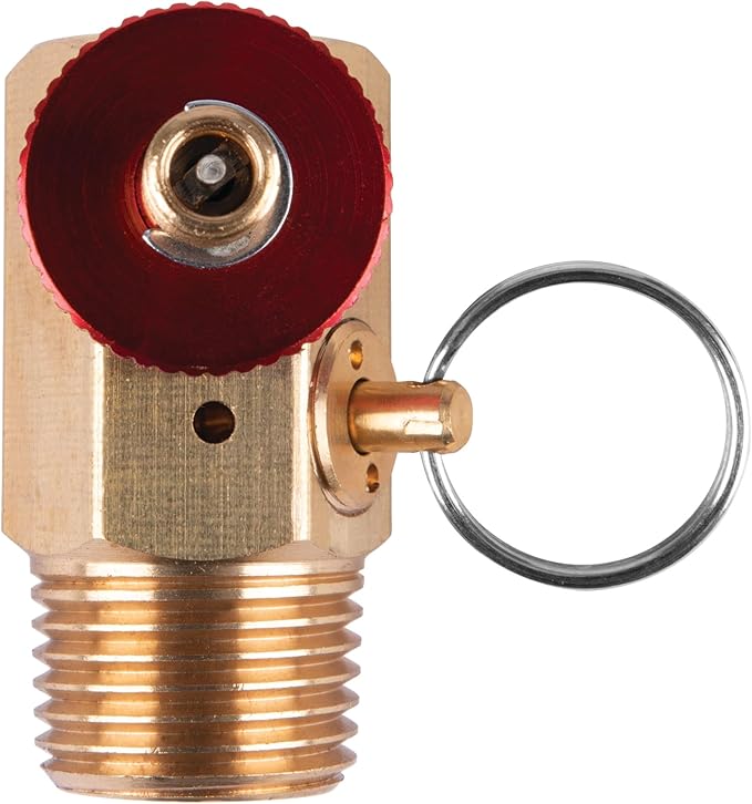 Performance Tool W10056 Air Tank Manifold With Fill Port , Ball Valve, & Relief Bypass , Gold