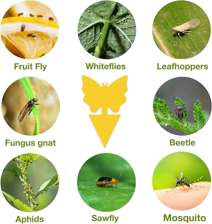 120 Pack Fungus Gnat Traps for House Indoor, Fungus Traps Fruit Fly Traps for Indoors Gnats Sticky Traps for Plants Yellow Sticky Traps for Gnats