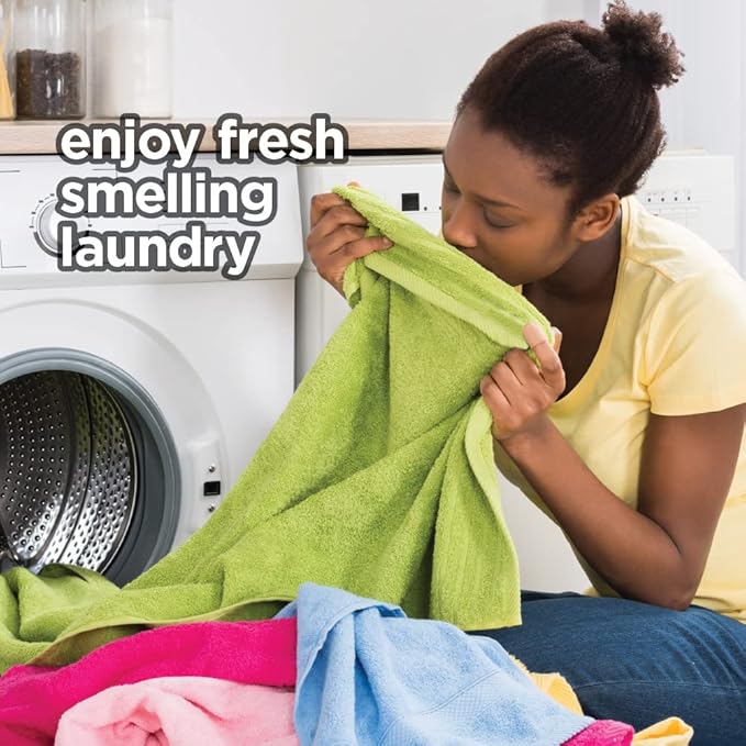 Dryer Sheets: Outdoor Scented Laundry Fabric Softener Sheets - Reduces Wrinkles - Controls Static - Softens Fabric (480 Count)