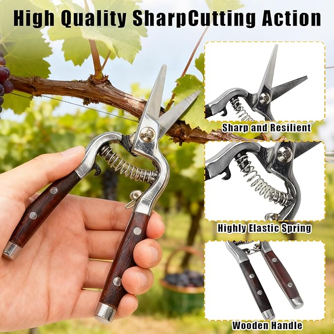 Garvee 2-Pack Wood & Steel Handle Bypass Pruning Shears for Gardening | Curved & Straight Garden Shears 8x20cm | Ultra Sharp Blades for Plants, Flowers & Light Branches | Essential Gardening Tools