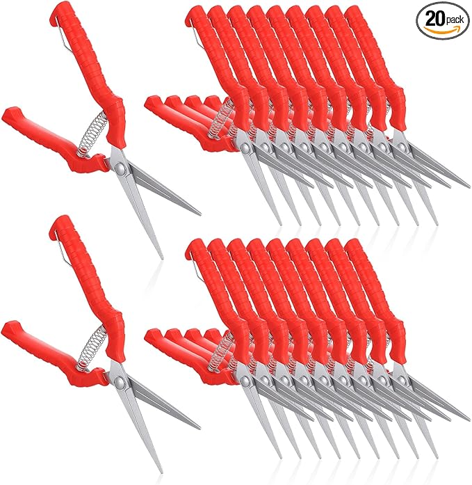 20 Pcs Pruning Shears Bud Trimming Scissors Bulk 8 Inch Pruning Shears Garden Scissors for Precise Cut Bonsai Gardening Hand Pruner with Straight Stainless Steel Blade Pruning Snip for Flower Plant, R