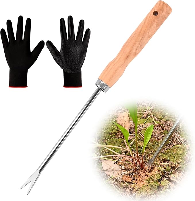 Wooden Handle Dandelion Weeder Tool - Polished Stainless Steel Dual - Forked Head Dandelion Weeder Puller Tool for Planting, Weeding, Flower & Vegetable Care with Nylon Nitrile Coated Gloves