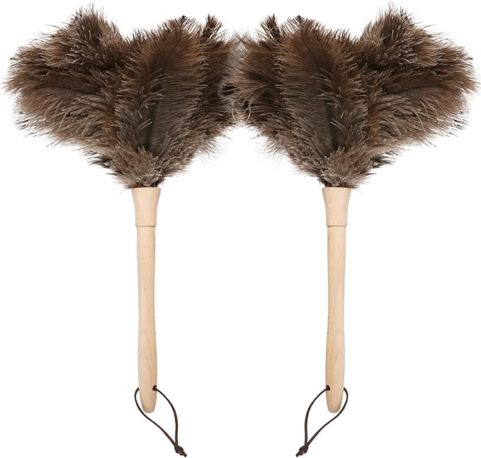 Ostrich Duster Fluffy Natural Feather Dusters with Wooden Handle Cleaning Supplies for Home Office Car (2, 16inch)