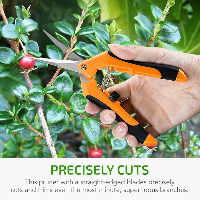 iPower 6.5 Inch Gardening Scissors Hand Pruner Pruning Shear with Straight Stainless Steel Blades, Orange, 4-Pack