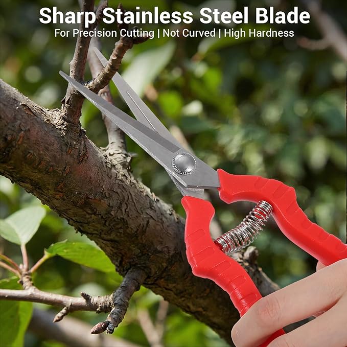 20 Pcs Pruning Shears Bud Trimming Scissors Bulk 8 Inch Pruning Shears Garden Scissors for Precise Cut Bonsai Gardening Hand Pruner with Straight Stainless Steel Blade Pruning Snip for Flower Plant, R
