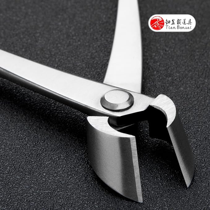 Bonsai Straight Edge Cutter Professional Grade Branch Cutter Alloy Steel Bonsai Tools Equip With Tool Bag (MT-SE-180)