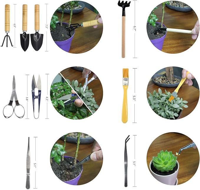 Bonsai Set 10 PCS-Mini Gardening Tools Kit for Indoor Outdoor Bonzai Include Pruner, Fold Scissors, Mini Rake, Tweezers, Cleaning Brush