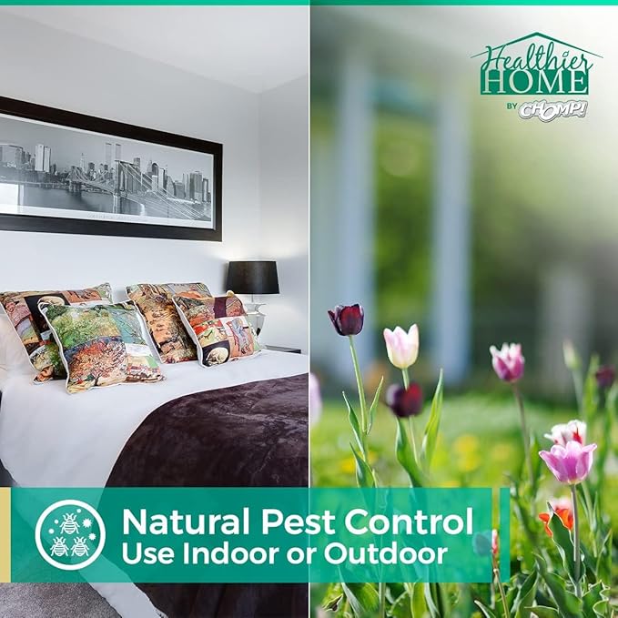 CHOMP! Insect and Pest Control Spray, 128 Ounces, Indoor and Outdoor Use, Plant-Based Formula Ants, Bed Bugs, Dust Mites Spiders, Made with Peppermint, Lemongrass, Geraniol