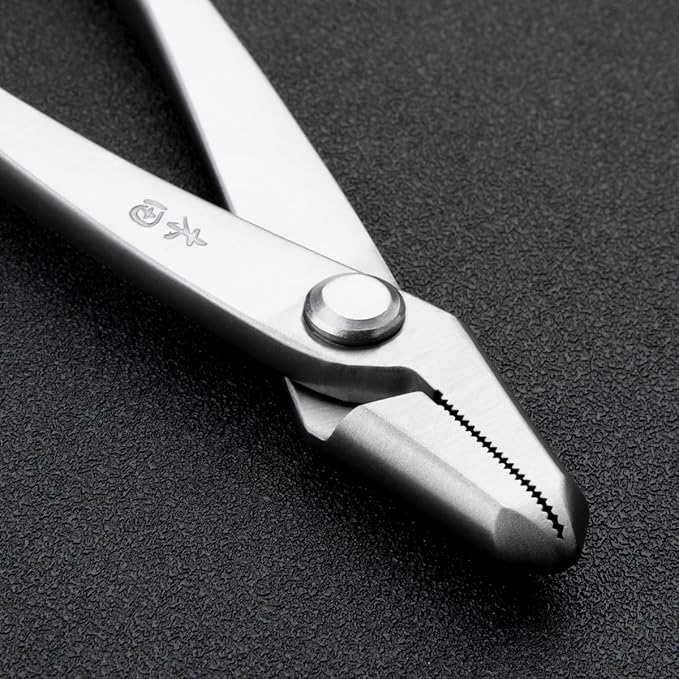 Professional Series Bonsai Tools 205 Mm Jin Pliers From TianBonsai