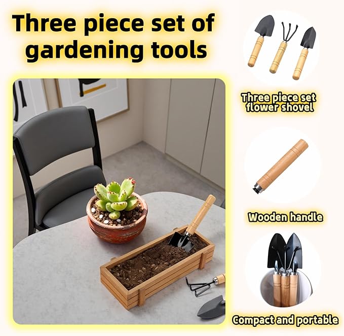 3-Piece Mini Garden Tool Set, Indoor Plant Care Kit with Wood Handle, Black Iron Tools for Potting, Transplanting and Cultivating, Compact Succulent and Houseplant Tools,Small Shovel, Trowel, Rake