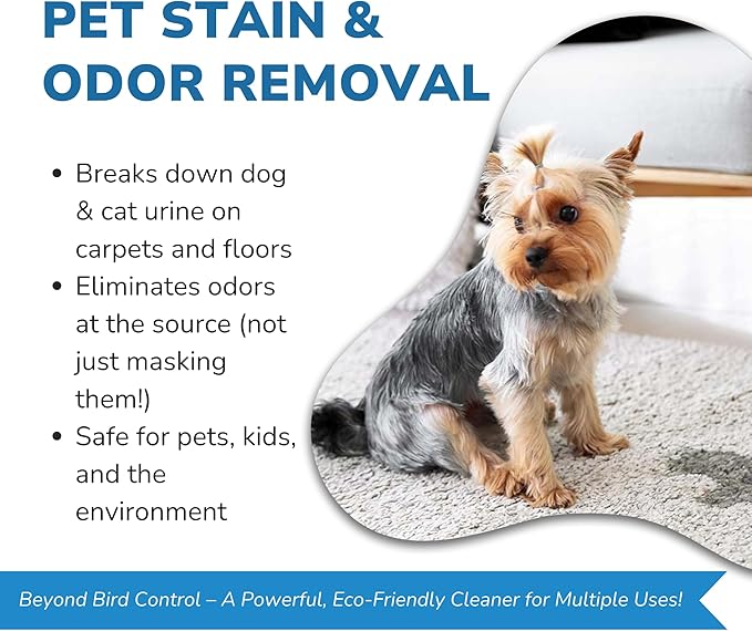 Bird Barrier Product image Dissolve-It Enzyme Cleaner Concentrate |1 Quart Ready to use | Bird Dropping Remover, Pet Urine & Odor Eliminator for Carpets, Hardwood Floors, Drains & Grease Traps