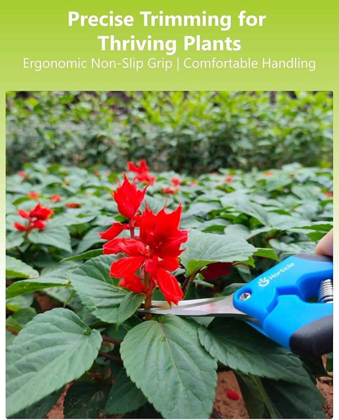 6.5" Garden Scissors Pruning Shears: 2 Pack of Trimming Scissors for Small Plants - High Cutting Efficiency Flower Snips for Gardening