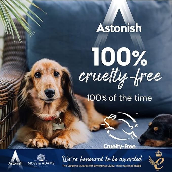 Astonish®️ Oven & Cookware Cleaner 150g (Packaging may vary)