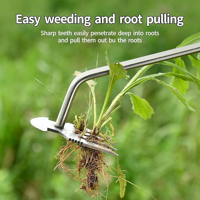 Weed Puller Tool，2024 New Garden Weeder Tool Stainless Steel Hand Weeder Tool,4 Teethes Dual Purpose Weed Remover Tool Weeding Tools for Gardening (Rubber Handle)