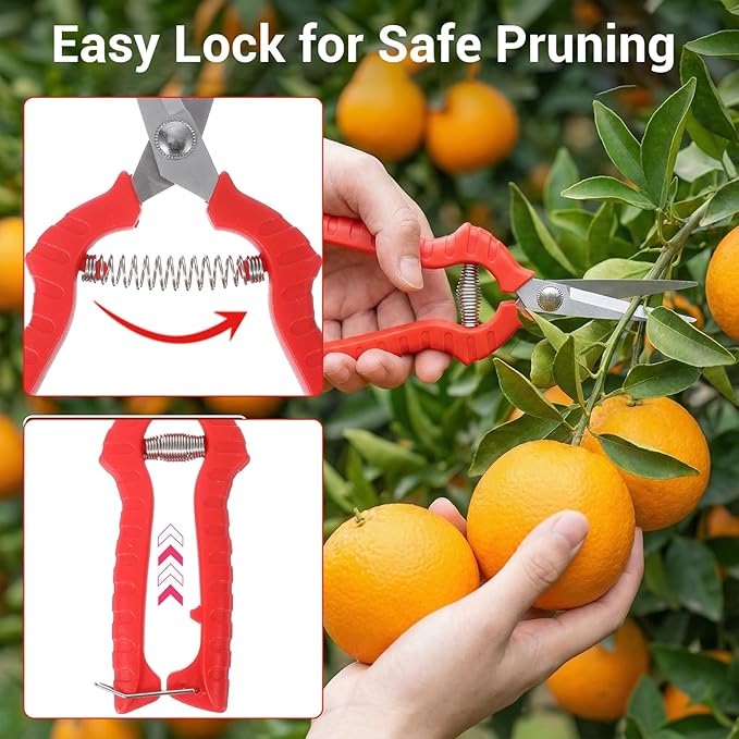 20 Pcs Pruning Shears Bud Trimming Scissors Bulk 8 Inch Pruning Shears Garden Scissors for Precise Cut Bonsai Gardening Hand Pruner with Straight Stainless Steel Blade Pruning Snip for Flower Plant, R