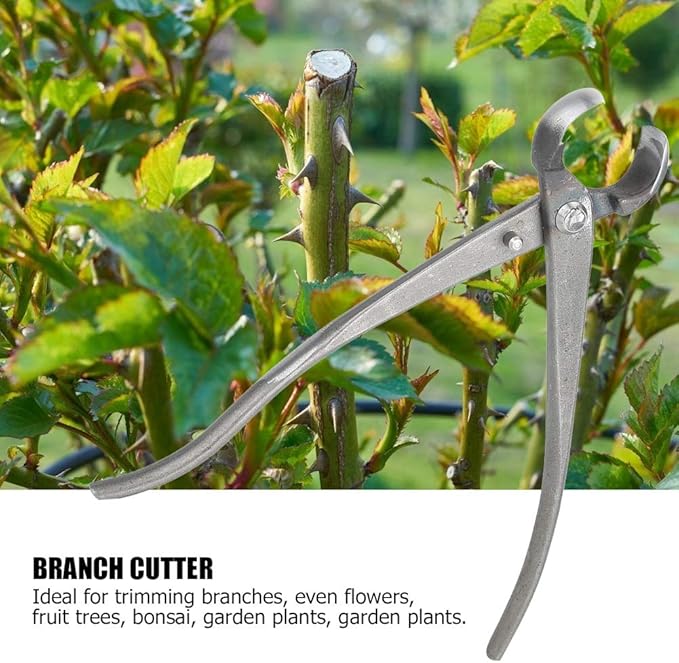 Bonsai Cutter, Knob Cutter Bonsai Tools Round Edge Cutter, Stainless Steel Bonsai Tree Knob Cutter Concave Cutter Bonsai Cutting Tool for Garden