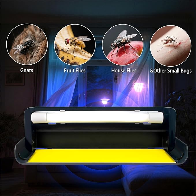 2 Pack UV Fly Light Trap Indoor for Home Gnat Traps for House, Wall Sconce Fly Light Bug Catcher for Kitchen House & Restaurant Fruit Flies Garage & Warehouse with 10 Sticky Glue Boards 6.5 ft Cord