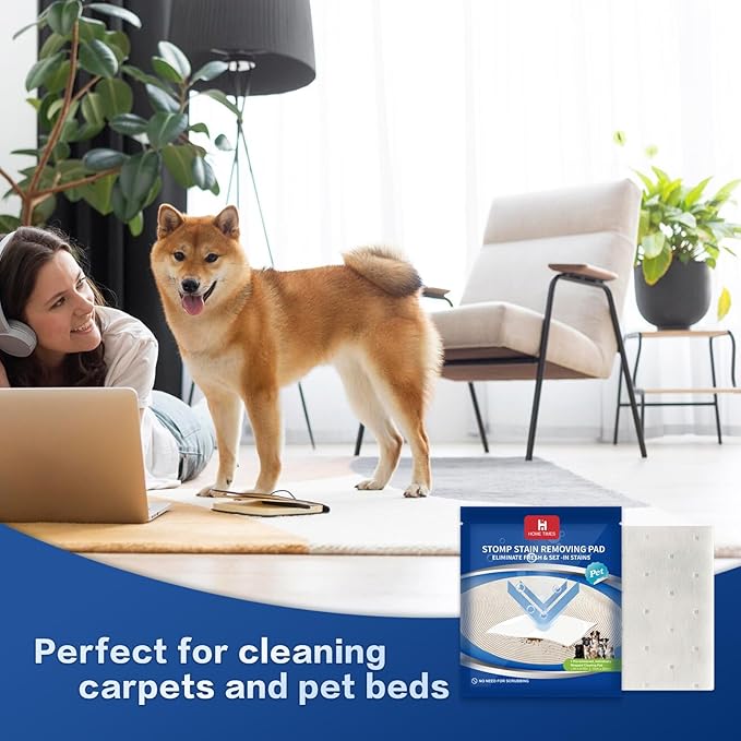 Home Times Carpet Cleaning Wet Wipes, Pet Lifting Pads + Oxy for Stain Removal on Carpet & Area Rug Cleaning, 10 Count(Pack of 1)