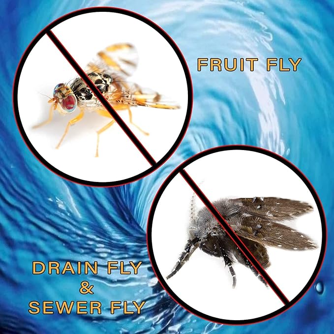 Fruit Fly & Drain Fly Killer - Simple Commercial Drain Gel Treatment - Eliminates Gross Fruit Flies, Drain Flies, Sewer Flies & Gnat Infestations From Any Drain. Fast & Easy - (128 Oz, Case of 4)