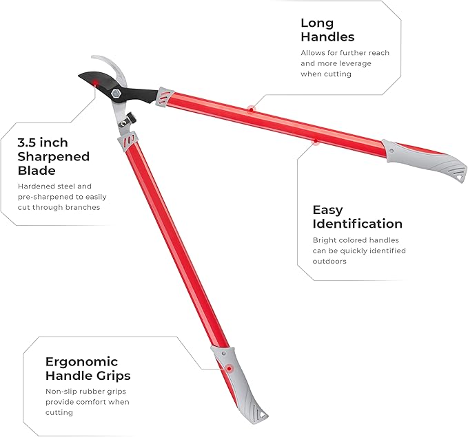 INTERTOOL Bypass Loppers 29" Tree Branch Cutter - Trimmer Pruner for Shrubs & Branches with 2 inch Cutting Capacity - Gardening, Landscaping, Shaping - Long Ergonomic Handles FT-1107