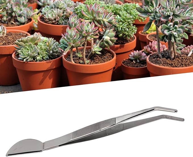 Bonsai Tweezers Tools, Bonsai Tweezers Rust Proof for Loosening Soil Bent