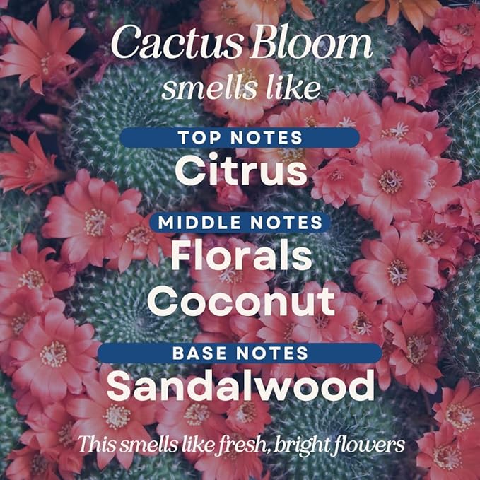 CANDE Mop Soap - Highly Scented Mop Soap, Luxury Floor Cleaner, Premium Fragranced Floor, Streak-Free Shine, 32 oz (Cactus Bloom)