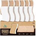 Plant-Based Kitchen Sponges - FSC Certified and PETA Approved, 12 Count