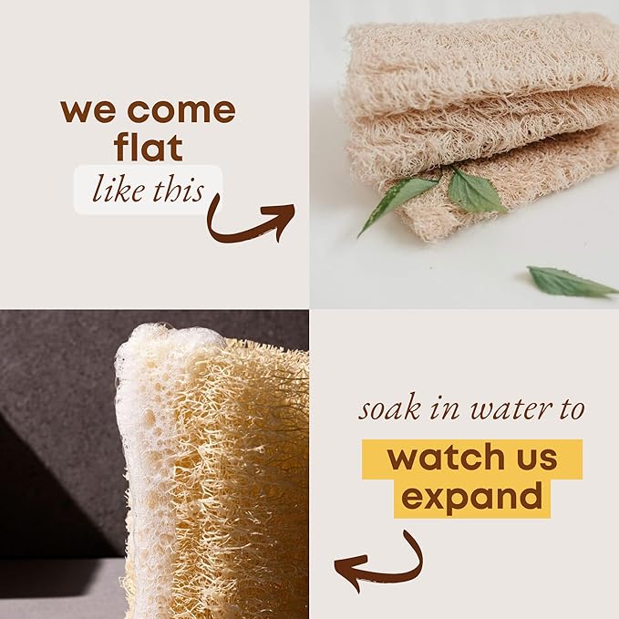 Natural Loofah Sponge (Pack 4) - Exfoliating Body for Bath or Dish Scrubber for Kitchen - 100% Biodegradable Compostable Zero Waste Dishwashing Scouring Pad